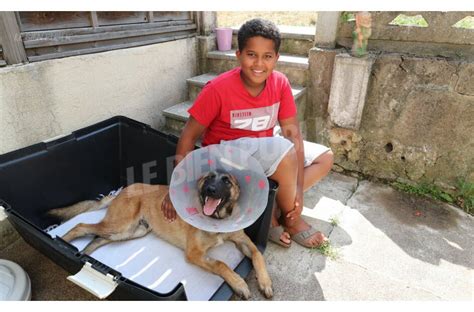 Mamie Se Fait Prendre Par Son Chien Chien Nouvelles