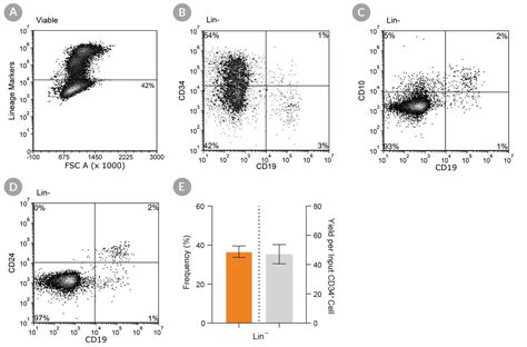 Stemspan B Cell Differentiation Supplement X Stemcell Technologies