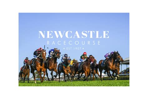 Gary Harley Preview Newcastle Racecourse