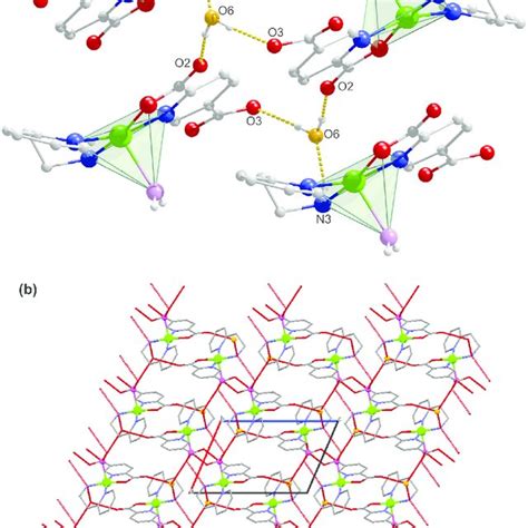 (a) hydrogen bonds formed by water molecules, (b) a view of the ...