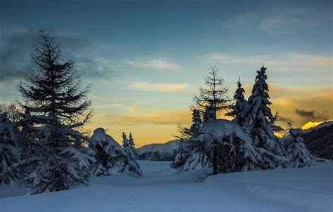 Wallpaper trees, sunset, winter, mountains, snow images for desktop ...