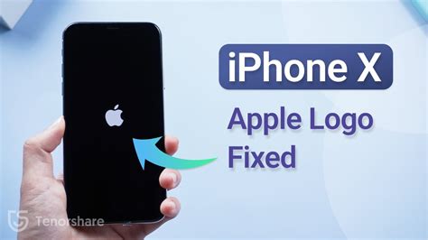 How To Fix Iphone X Stuck On Apple Logono Data Loss Youtube