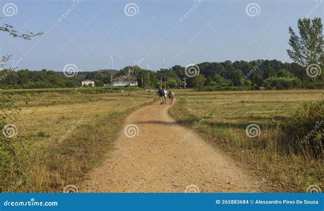 Pilgrims Walking In The Galician Countryside In The Camino De Santiago