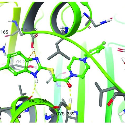 Binding Mode Of Compound C As Detected By A Docking And B Induced