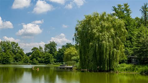 Sm L Bad Nauheim Hessen Germany Vitalij Sosna Flickr