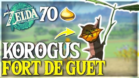 Toutes Les NOIX KOROGU Du Fort De Guet Zelda Tears Of The Kingdom