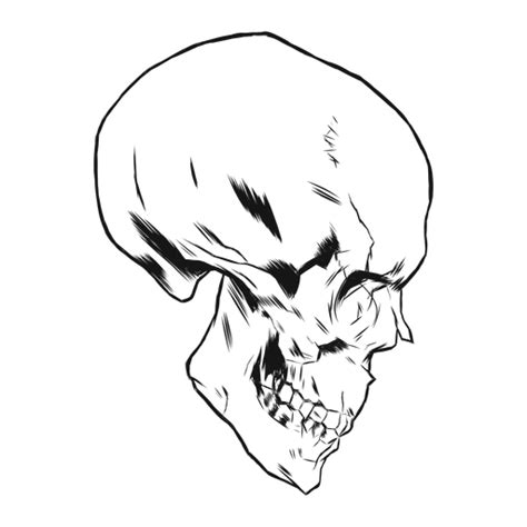 Skull Side View Hand Drawn PNG & SVG Design For T-Shirts | Skull side ...