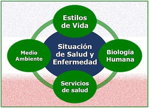 Los Antecedentes Para Llegar A Entender Los Determinantes De La Salud