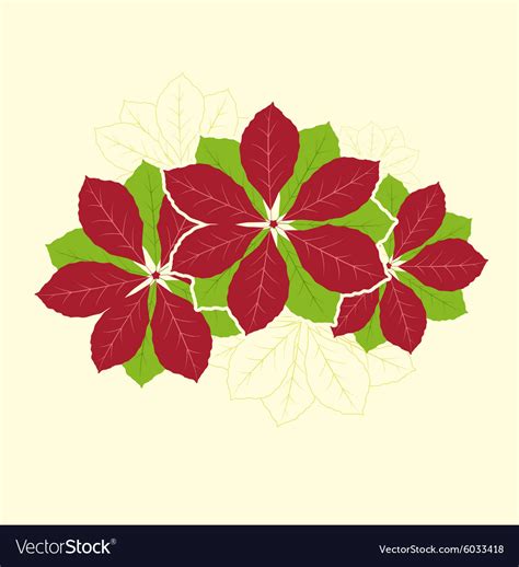 Poinsettia flower Royalty Free Vector Image - VectorStock