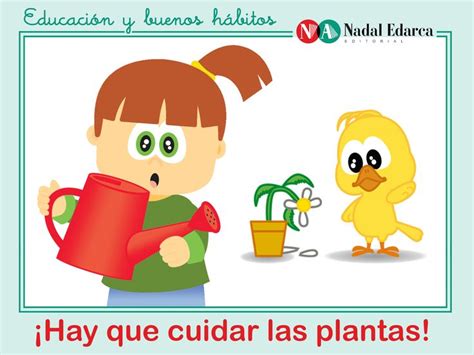 ¡hay Que Cuidar De Las Plantas