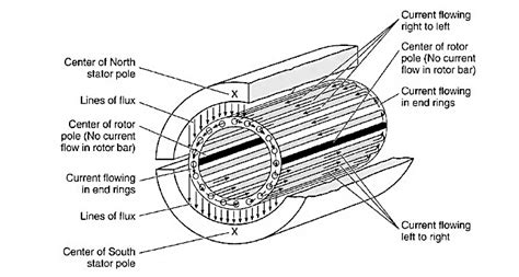 What Is A Squirrel Cage Induction Motor