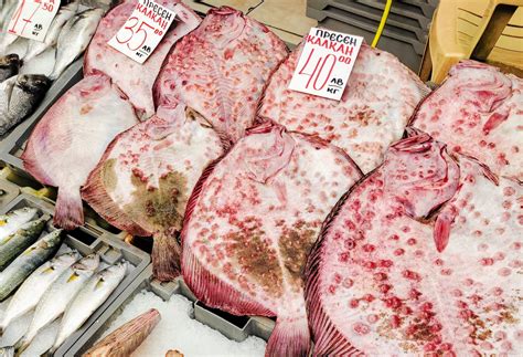 Varna Fish Market | Food on the Move