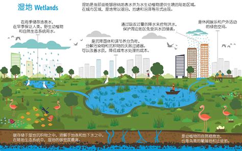 保护观点 一文读懂千岛湖水源地保护策略 西湖 千岛湖 面源 新浪新闻