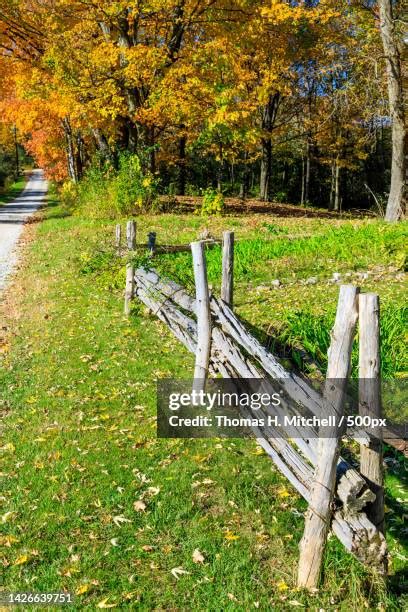 67 Goshen Land Stock Photos High Res Pictures And Images Getty Images