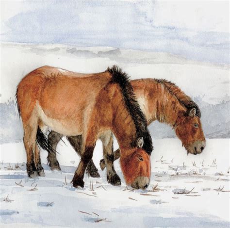 Ice Age wild horses. Reconstructions are usually based on the light bay ...