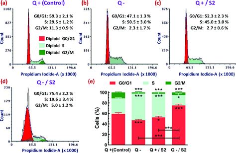 Cell Cycle Distribution Profile In Hela Cells After 24 H Of Glutamine Download Scientific