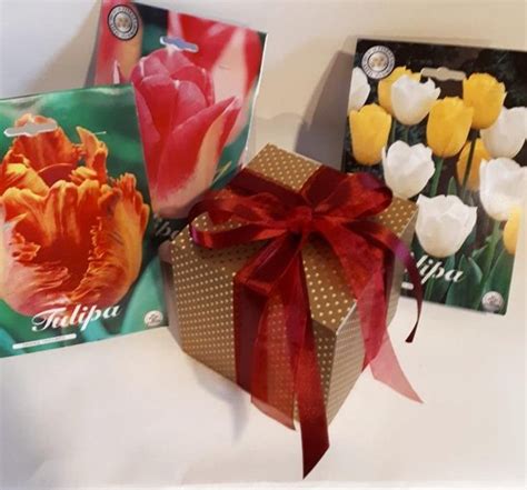 Tulpen Bollen In Cadeaudoos Leuk Cadeau Relatie Geschenk Verjaardag