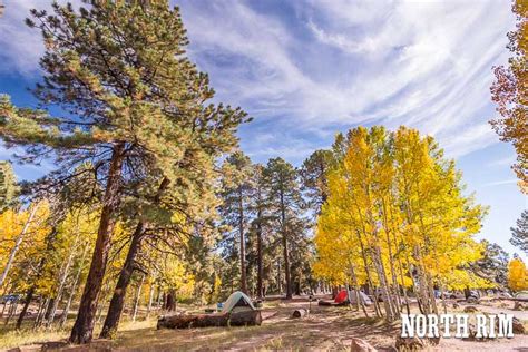 North Rim Campground Photos, Grand Canyon • James Kaiser