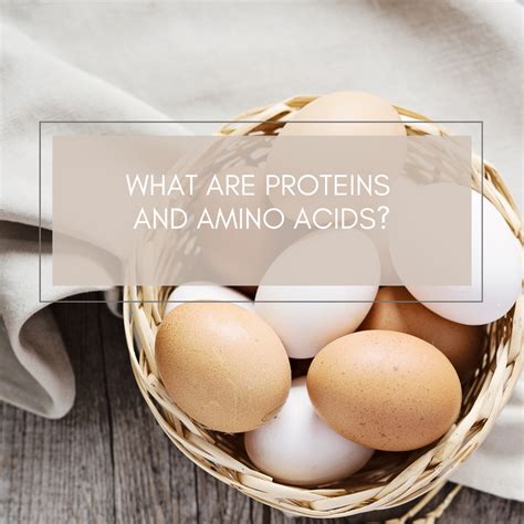 What are proteins and amino acids? - Nutrition Matters Skin