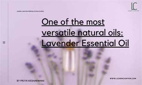 Lavender Lavandula Angustifolia Flower Essential Oil