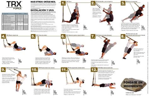 Printable Trx Workouts Pdf Blog Dandk