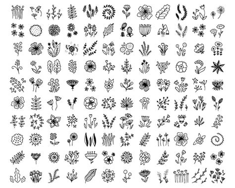 Hand Tekenen Wilde Planten Bloemen Monochroom Artistieke Botanische