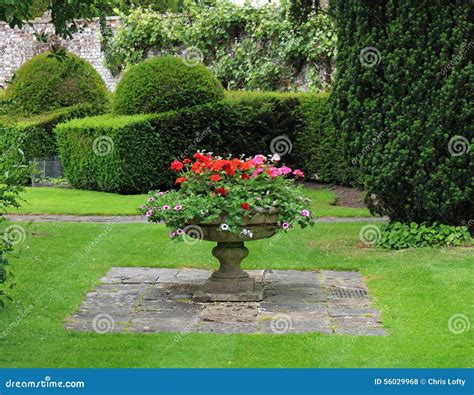 Medieval Cobbled English Courtyard Garden Stock Photos Free And Royalty