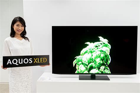 Sharp Aquos Xled Ep Tv K Miniled Con Quantum Dot E Google Tv Av