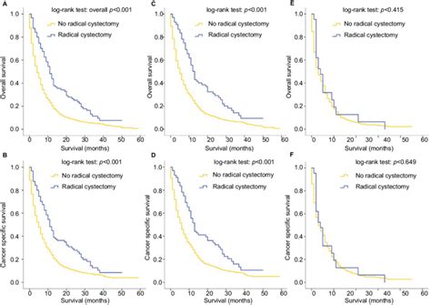 Kaplan Meier Curves Of Overall Survival And Cancer Specific Survival Download Scientific