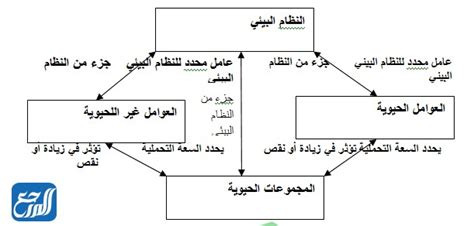 مطوية العلاقات في الانظمة البيئية موقع المرجع