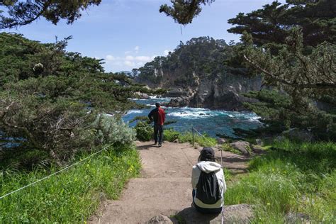 Cypress Grove Trail Point Lobos In Carmel CA Backcountrycow