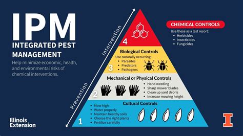 Consider All Options For Best Integrated Pest Management Plan