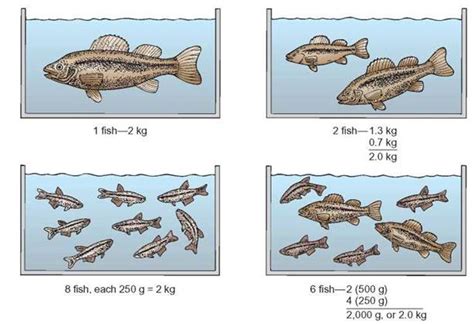 Figure 17 13 The Effect Of Biomass On Carrying Capacity