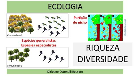 Diversidade e riqueza de espécies YouTube