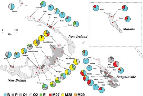 Northern Island Melanesian Southwest mtDNA haplogroup frequency ...