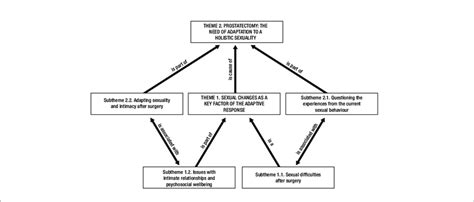 Concept Map Showing The Relationships Between Themes And Subthemes