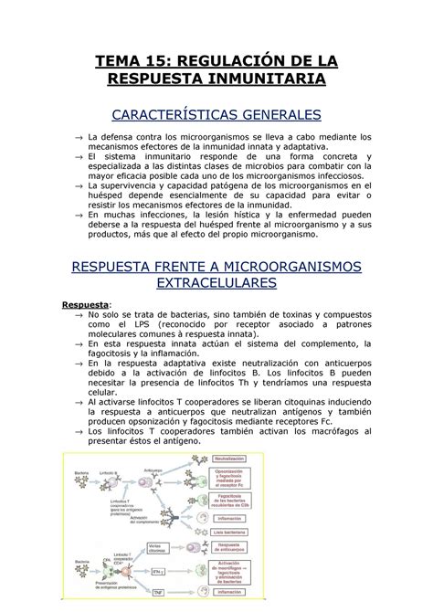 TEMA 15 REGULACIÓN DE LA RESPUESTA INMUNE TEMA 15 DE LA RESPUESTA