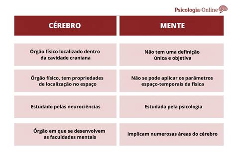 Mente E C Rebro Quais S O As Diferen As Na Psicologia