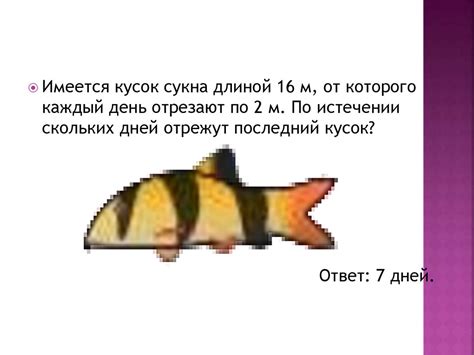 Математическое путешествие - презентация онлайн