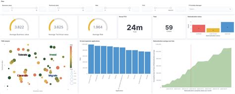 Apm Software What Cios Need For Application Rationalization