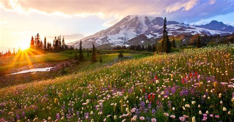 Mount Rainier National Park