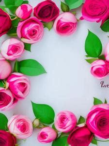 Love Roses Background Wallpaper Add Your Photos ID:728918