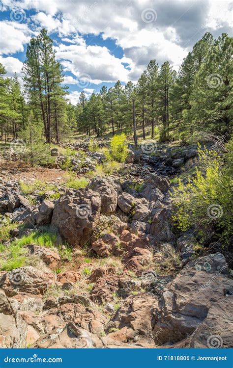 Sycamore Canyon Rim Trail In Arizona Stock Photo Image Of Desert