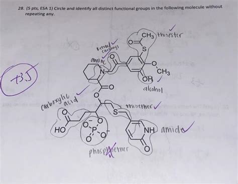 Solved 24. (8 pts) Draw the structure of the tetrapeptide | Chegg.com