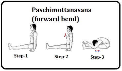 Yoga Guidance: Yoga Guidance: Paschimottanasana (Forward Bend)