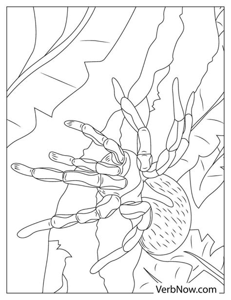 880 Zombie Spiderman Coloring Pages Hd Coloring Pages Printable