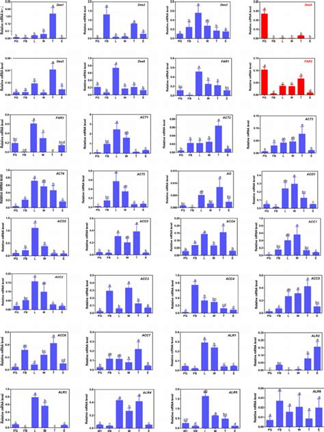 Expression Patterns Of Putative Sex Pheromone Biosynthesis Genes In