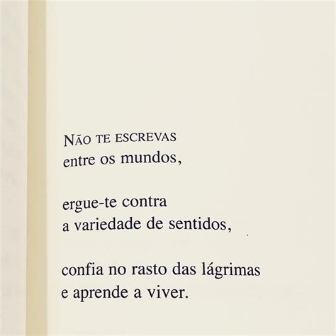 Pin de Yeda em Things Citações aleatórias Frases inspiracionais