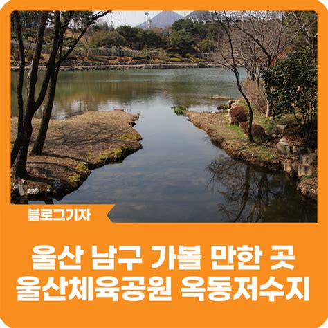 블로그 기자 울산 남구 가볼 만한 곳 울산체육공원을 품고 있는 옥동저수지 울산광역시 남구 웰로