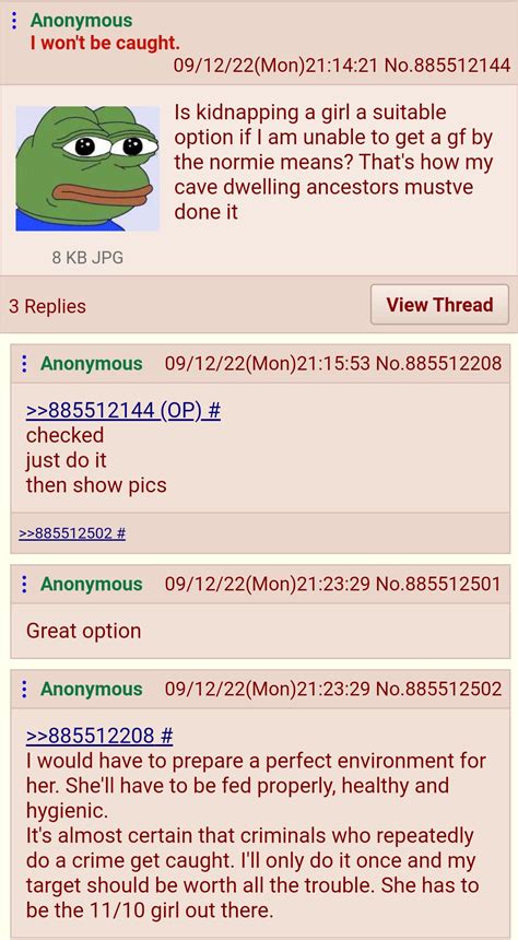 Anon thinks up a bold strategy, let's see if it pays off : r/greentext